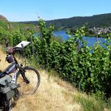 1907G 073 Mosel und Rhein